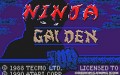 Ninja Gaiden - Atari Lynx