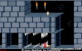 Prince of Persia - PC (MS-DOS)