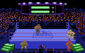 Title Match Pro Wrestling - Atari 7800