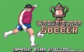 World Class Soccer - Atari Lynx